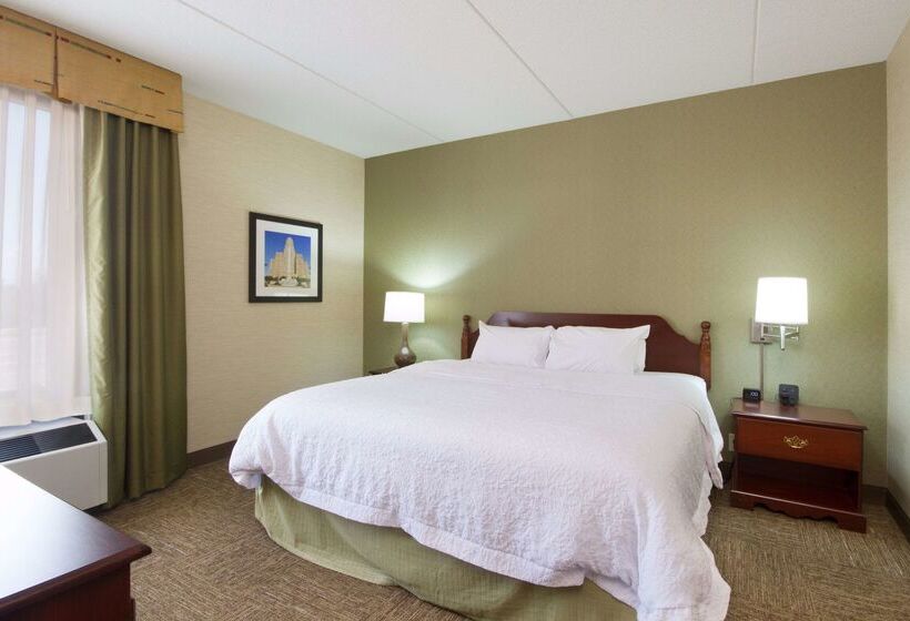 فندق Hampton Inn Buffalo South/i90