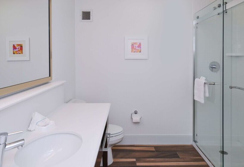 هتل Hampton Inn Carbondale