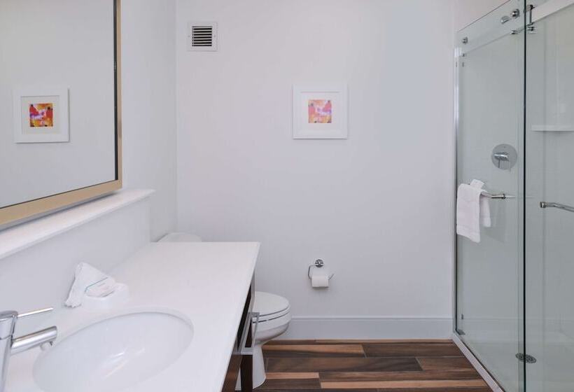 هتل Hampton Inn Carbondale