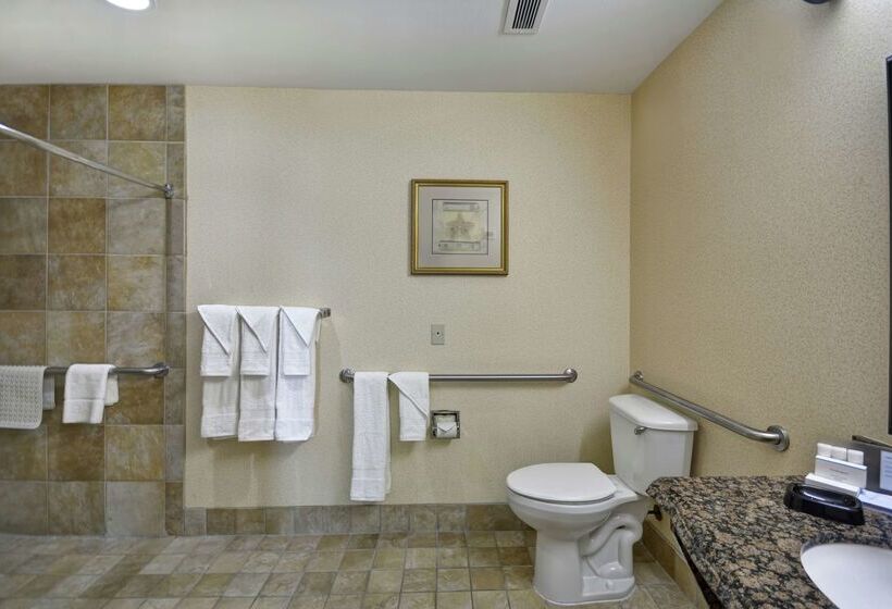 בית מלון כפרי Hampton Inn Corpus Christinorthwest I37