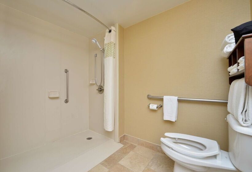 Отель Hampton Inn East Aurora
