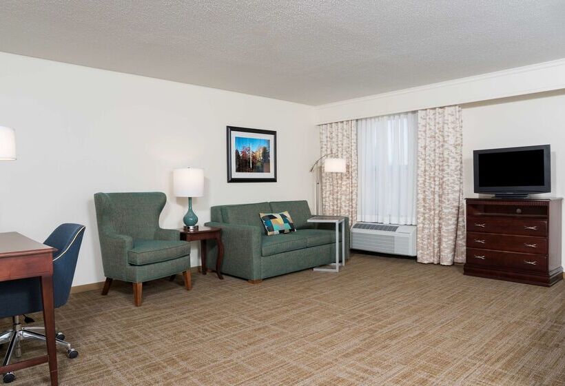 هتل Hampton Inn East Lansing