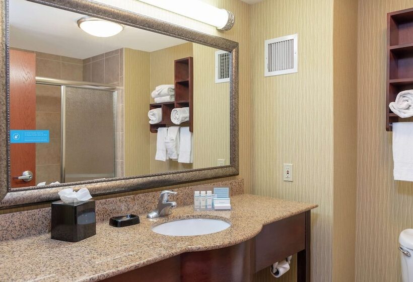 هتل Hampton Inn East Lansing