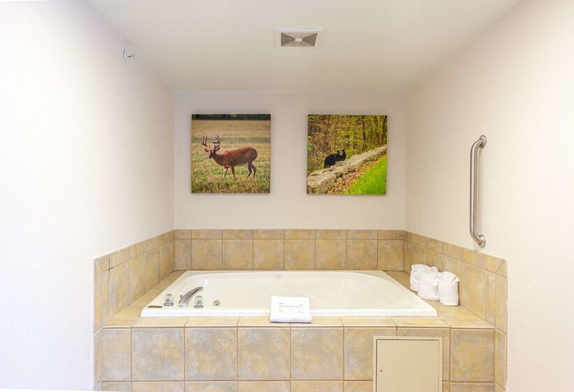 酒店 Hampton Inn Front Royal