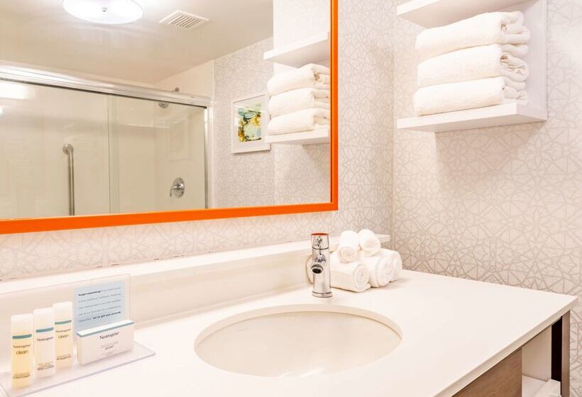בית מלון כפרי Hampton Inn Gainesville