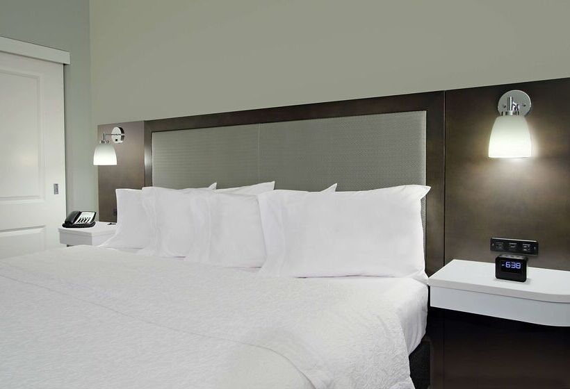 בית מלון כפרי Hampton Inn Hagerstown I 81