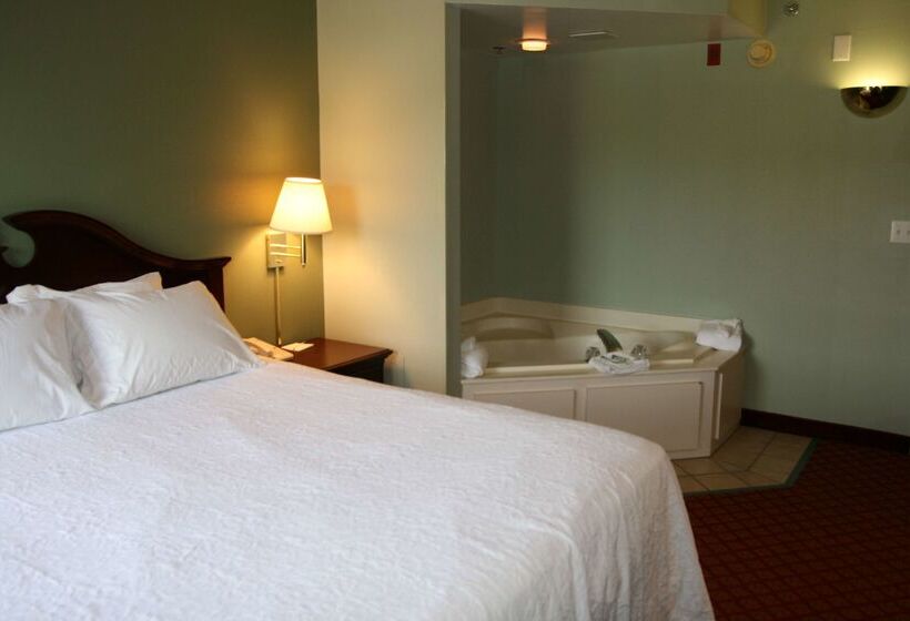 酒店 Hampton Inn Hillsville