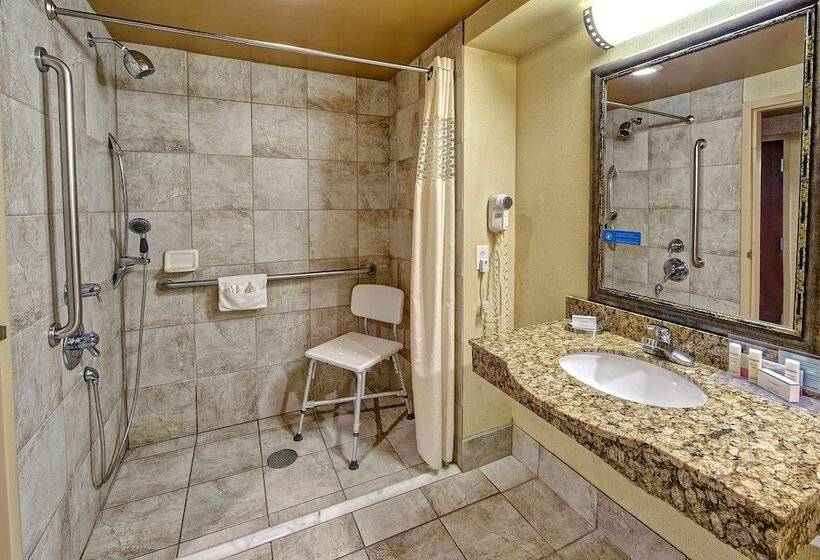 هتل Hampton Inn Indianapolissw/plainfield