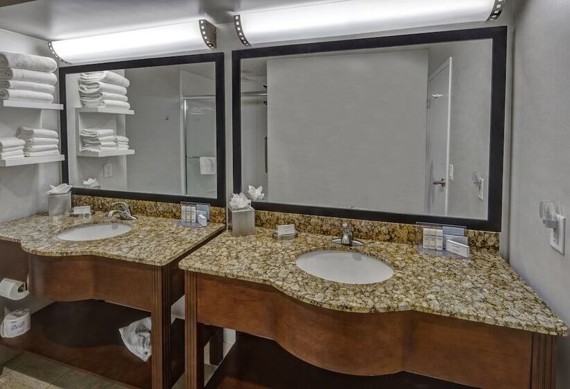 هتل Hampton Inn Indianapolissw/plainfield