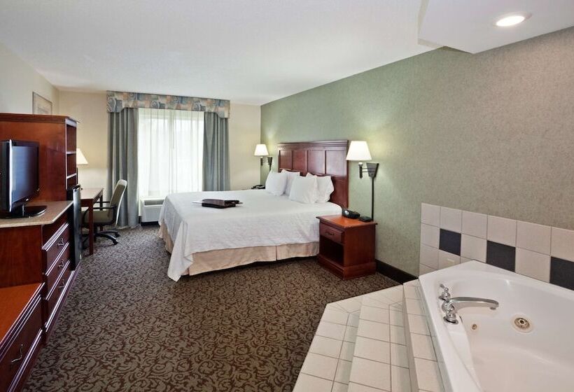 هتل Hampton Inn Ithaca