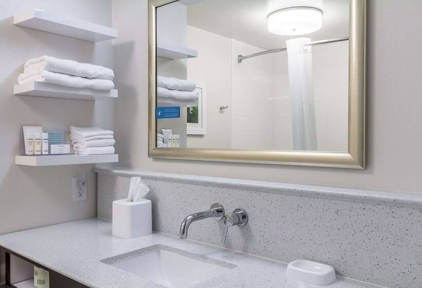 Hotel Hampton Inn Jackson/pearlinternational Airport