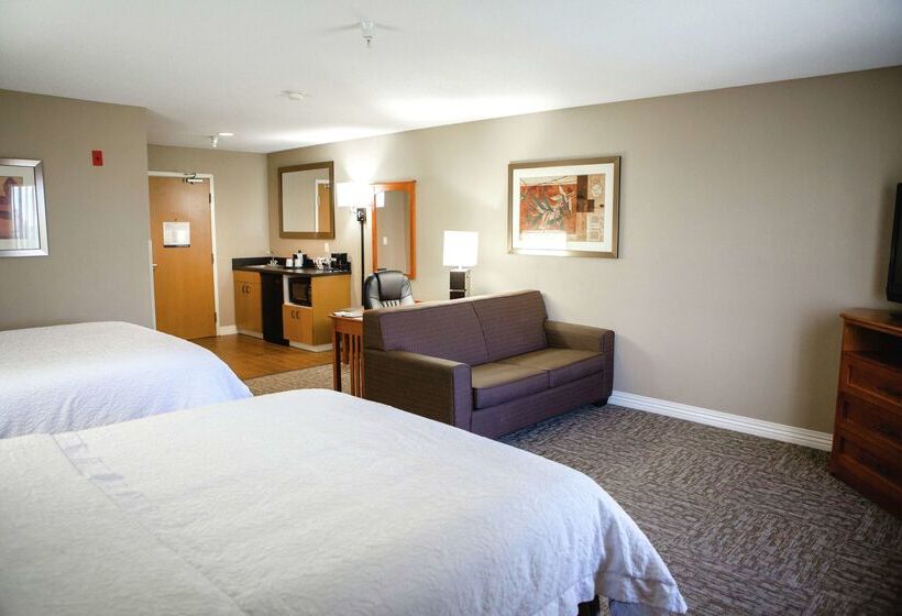 هتل Hampton Inn Mitchell