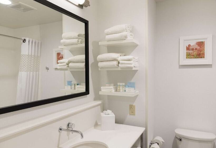 酒店 Hampton Inn Mt. Pleasant