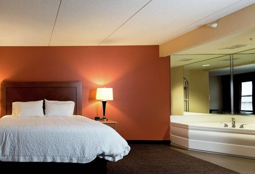 هتل Hampton Inn Muskegon