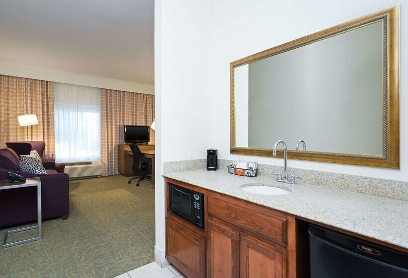 هتل Hampton Inn By Hilton Odessa