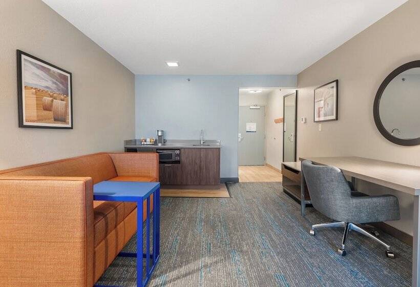 酒店 Hampton Inn Ottawa