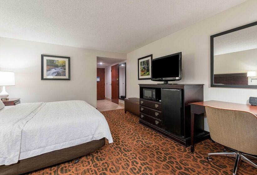 ホテル Hampton Inn Parkersburgmineral Wells