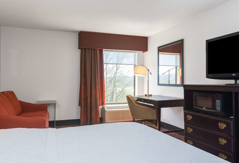 ホテル Hampton Inn Parkersburgmineral Wells