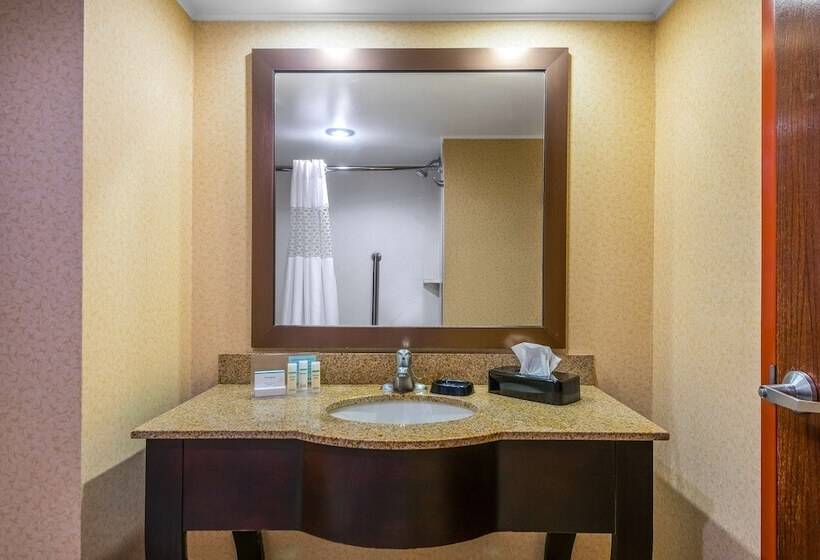 ホテル Hampton Inn Parkersburgmineral Wells