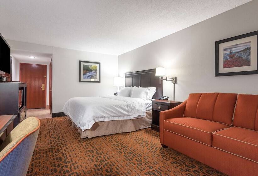 ホテル Hampton Inn Parkersburgmineral Wells