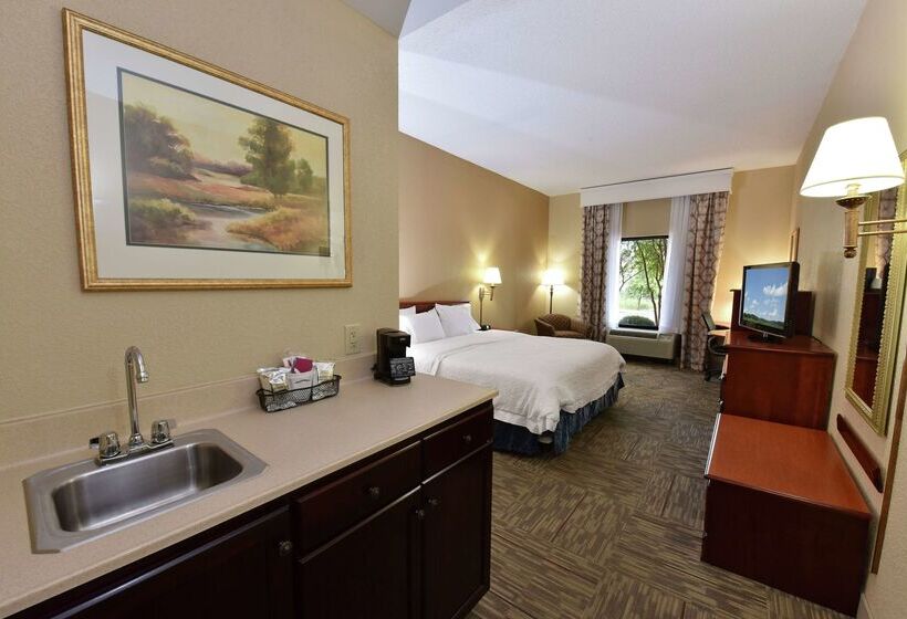 فندق Hampton Inn Selma