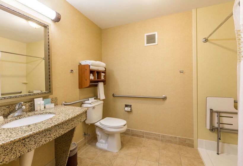 ホテル Hampton Inn Sidney