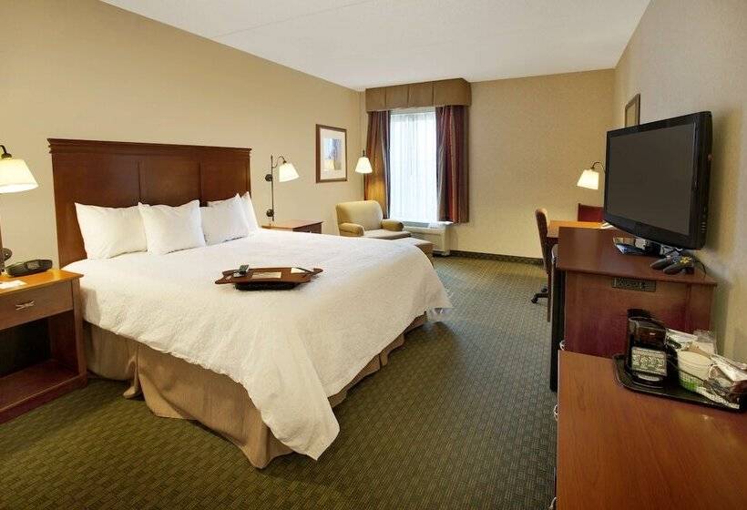 ホテル Hampton Inn Sidney