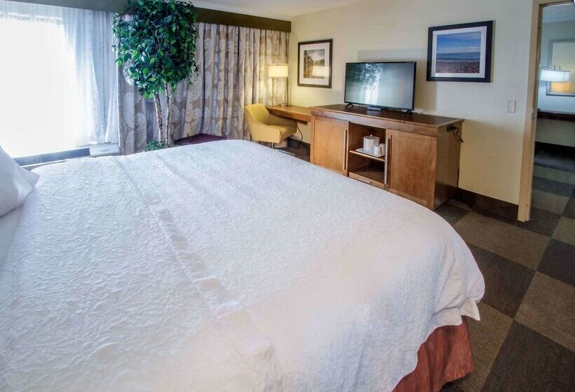 בית מלון כפרי Hampton Inn South Haven
