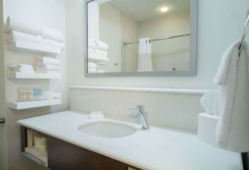 בית מלון כפרי Hampton Inn South Haven