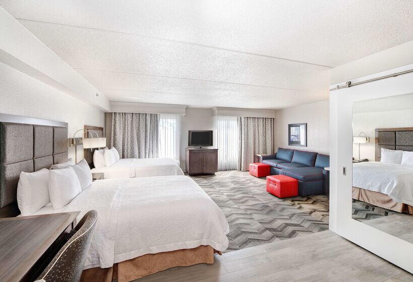 هتل Hampton Inn & Suites Atlantagalleria