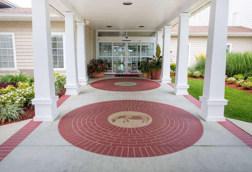 ホテル Hampton Inn & Suites Chincoteaguewaterfront