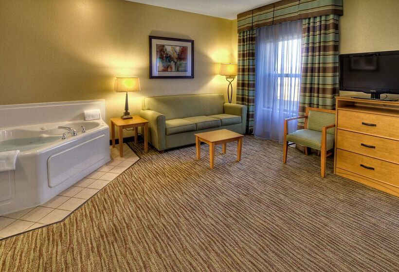 هتل Hampton Inn & Suites Kalamazoooshtemo