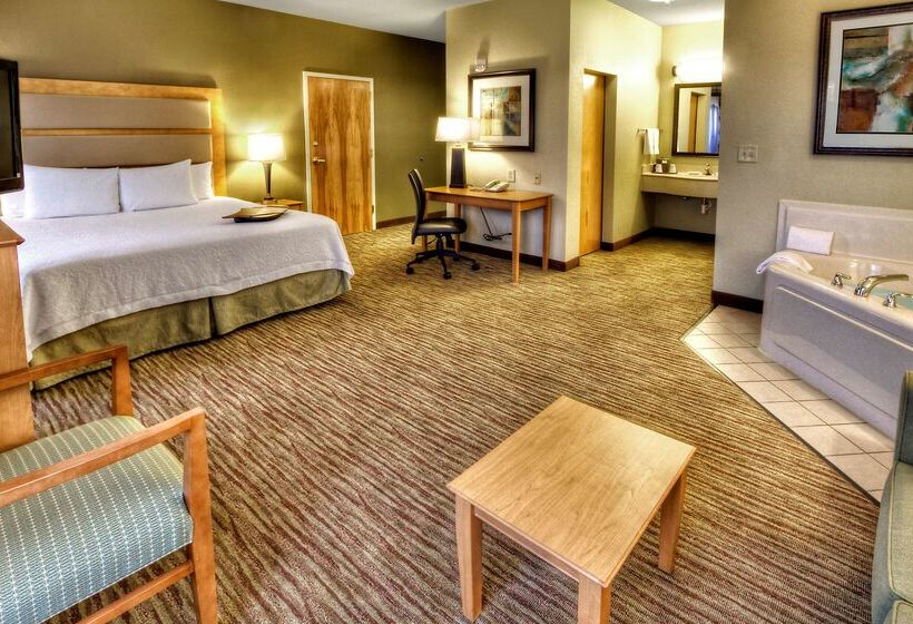 هتل Hampton Inn & Suites Kalamazoooshtemo