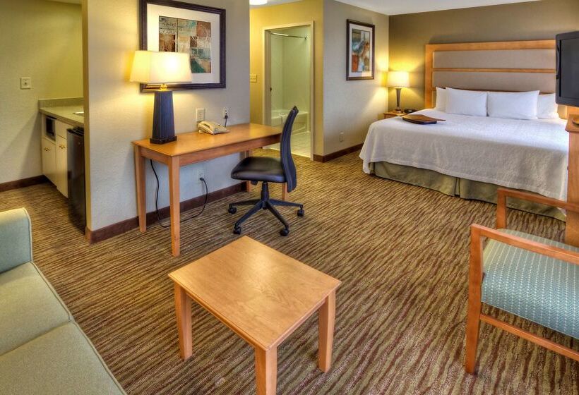 هتل Hampton Inn & Suites Kalamazoooshtemo