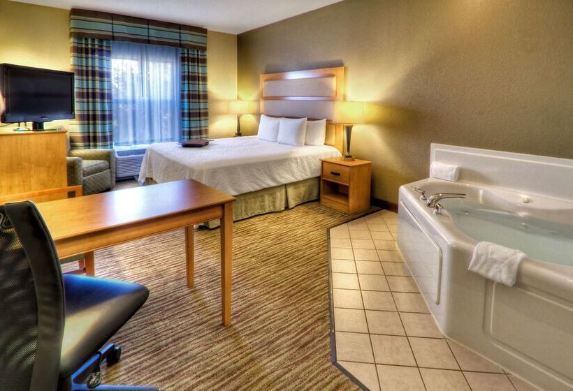 هتل Hampton Inn & Suites Kalamazoooshtemo