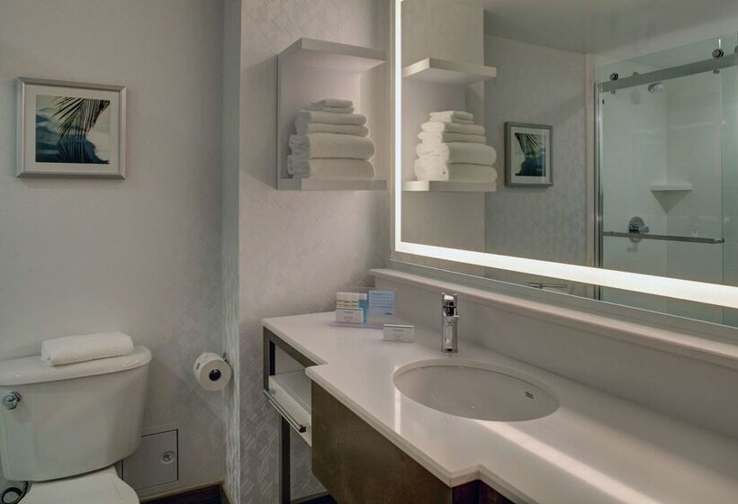 فندق Hampton Inn & Suites Miamiairport Southblue Lagoon