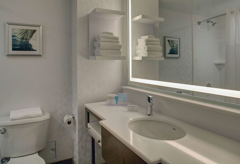 فندق Hampton Inn & Suites Miamiairport Southblue Lagoon