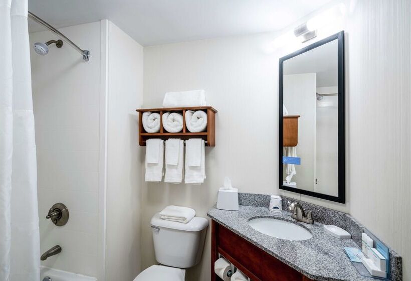 ホテル Hampton Inn & Suites Mooresville/lake Norman