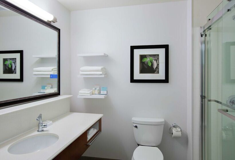 فندق Hampton Inn & Suites Mountain View