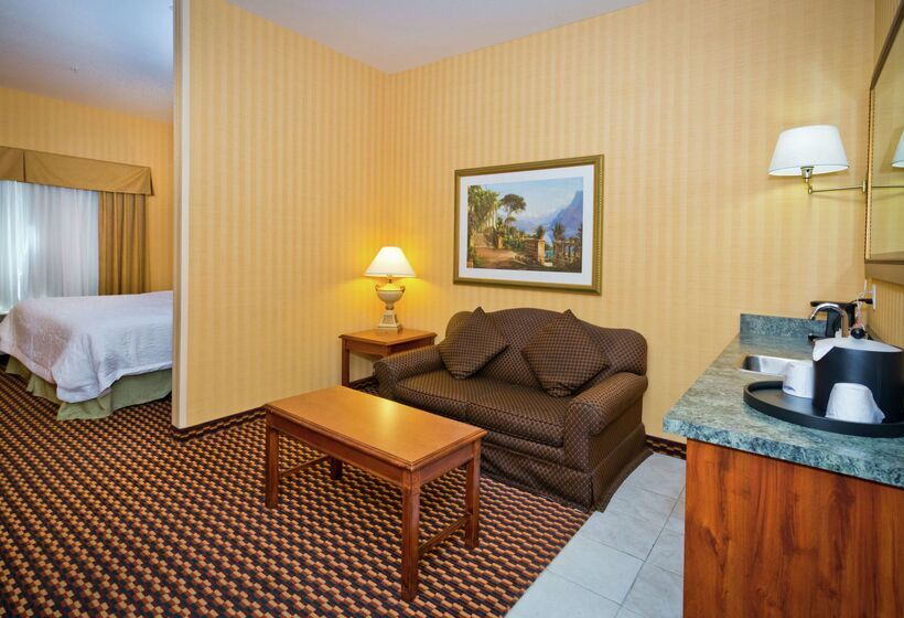 هتل Hampton Inn & Suites Sacramentocal Expo