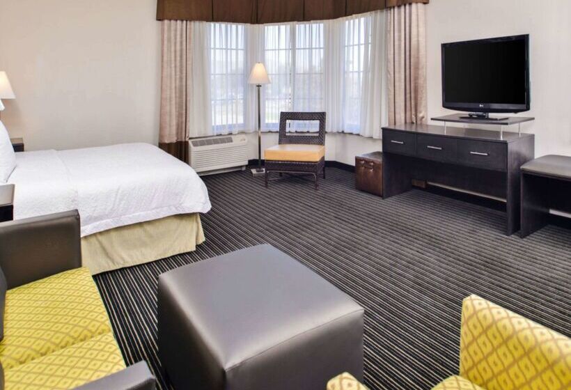 هتل Hampton Inn & Suites San Franciscoburlingameairport South