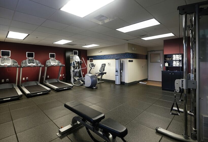 בית מלון כפרי Hampton Inn & Suites Temecula