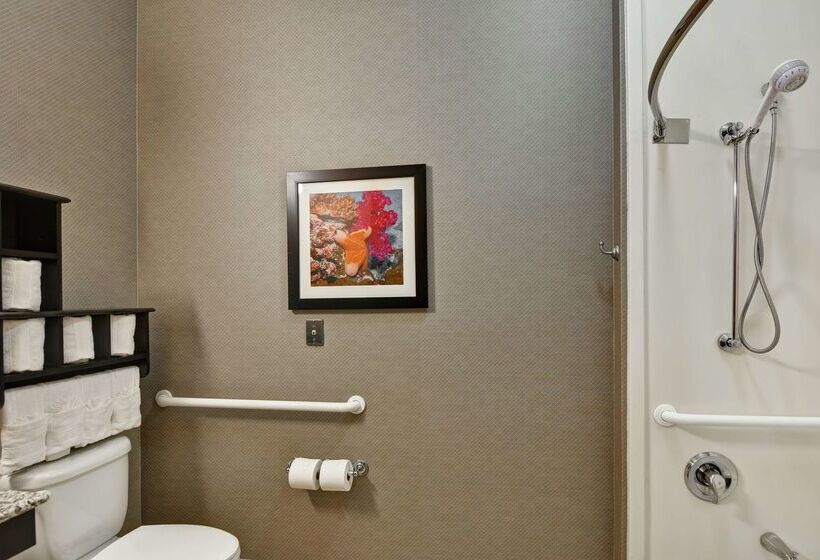 בית מלון כפרי Hampton Inn West Palm Beach Florida Turnpike