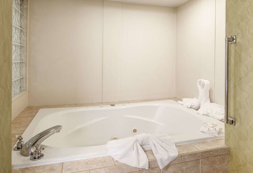 בית מלון כפרי Hampton Inn Winstonsalem Hanes Mall