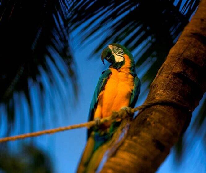 فندق Hyatt Centric Key West Resort & Spa