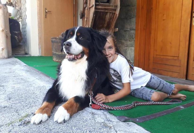 Отель Ortles Dolomiti Walking & Spa