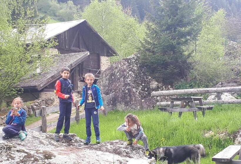 Отель Ortles Dolomiti Walking & Spa