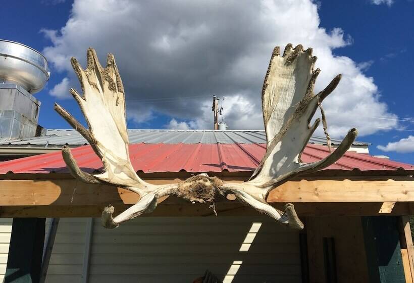 هاستل Kluane Park Inn