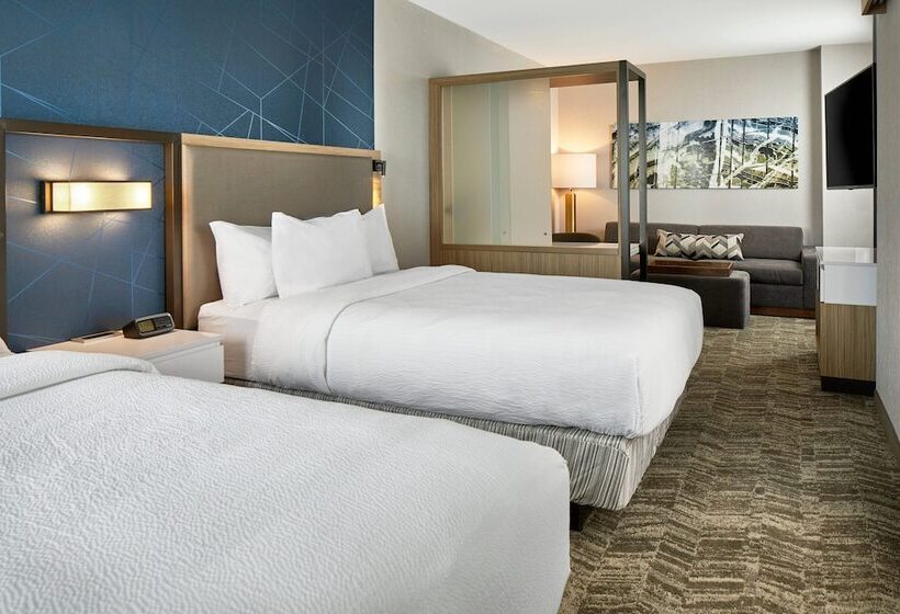 هتل Springhill Suites By Marriott Columbus Dublin