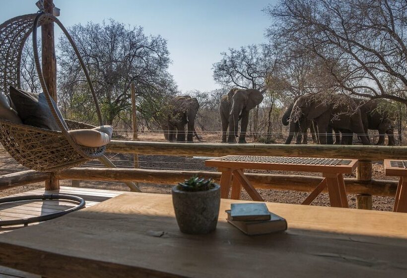 فندق Nkala Safari Lodge